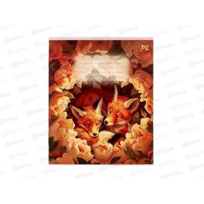 Тетрадь 12л лин. BG MIX-10 Девочки, эконом. 64138 *20/240