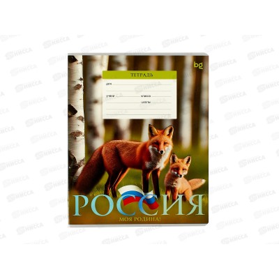 Тетрадь 18л кл. BG Патриотизм. Родина  12042 *10/140