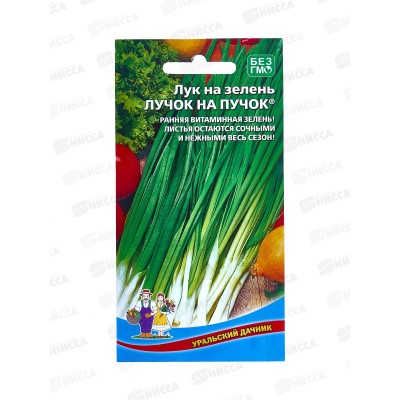 Лук на зелень Лучок на пучок  Евро *10 УрД