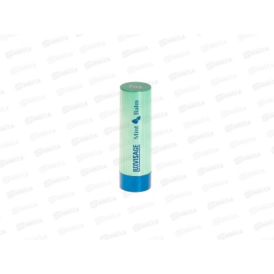 LUXVISAGE Помада-бальзам д/г Mint Balm 105 *4 LUXVISAGE Помада-бальзам д/г Mint Balm 105 *4