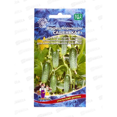 Огурец Сашенька F1 корнишон Евро *10 УрД!!! Огурец Сашенька F1 корнишон Евро *10 УрД!!!