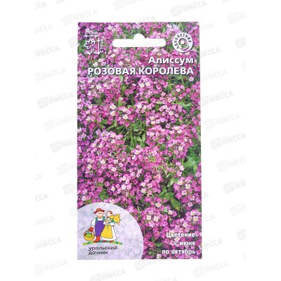 Алиссум Розовая Королева Евро *10 УрД