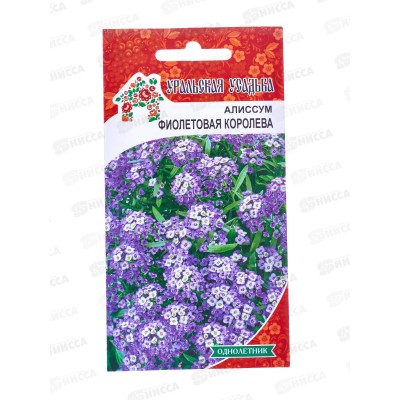 Алиссум Фиолетовая королева УУ Евро *10 УрД Алиссум Фиолетовая королева УУ Евро *10 УрД
