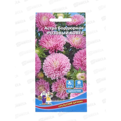 Астра Розовый ковер бордюрная Евро *10 УрД + Астра Розовый ковер бордюрная Евро *10 УрД +