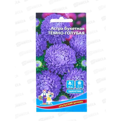 Астра Букетная темно-голубая Евро *10 УрД