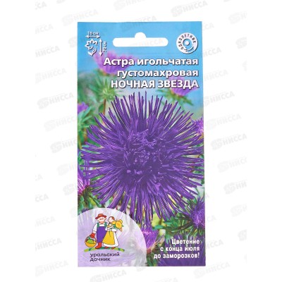 Астра Ночная звезда игольчатая густомахровая Евро *10 УрД +