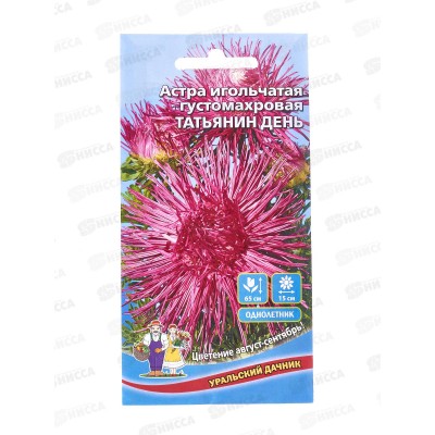 Астра Татьянин день игольчатая густомахровая Евро *10 УрД + Астра Татьянин день игольчатая густомахровая Евро *10 УрД +
