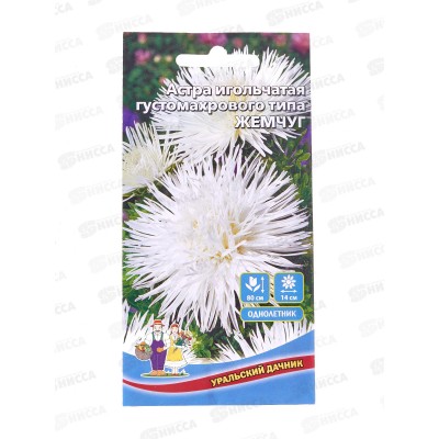 Астра Жемчуг игольчатая  Евро *10 УрД