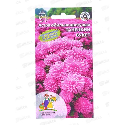 Астра Танечкин букет обильноцветковая Евро *10 УрД