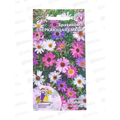 Брахикома Сверкающая смесь Евро *10 УрД + Брахикома Сверкающая смесь Евро *10 УрД +