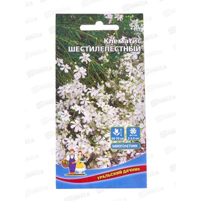 Клематис Шестилепестный Евро *10 УрД +