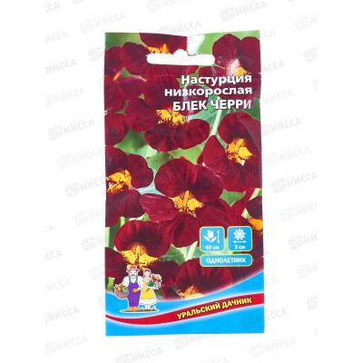 Настурция Блек черри Евро *10 УрД