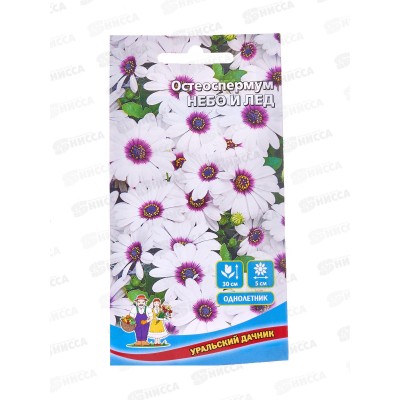 Остеоспермум Небо и лед Евро *10 УрД
