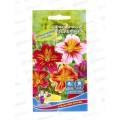 Сальпиглоссис Фейерверк Евро *10 УрД + Сальпиглоссис Фейерверк Евро *10 УрД +