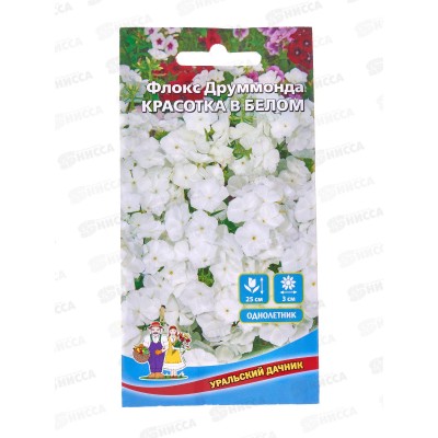 Флокс друммонда Красотка в белом Евро *10 УрД