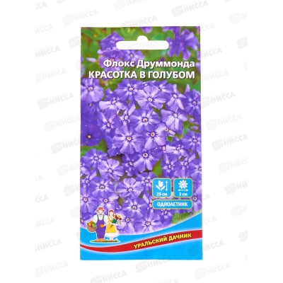 Флокс друммонда Красотка в голубом Евро *10 УрД