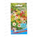 Хризантема Радуга Евро *10 УрД