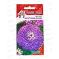 Цинния Фиолетовый король Евро УУ *10 УрД