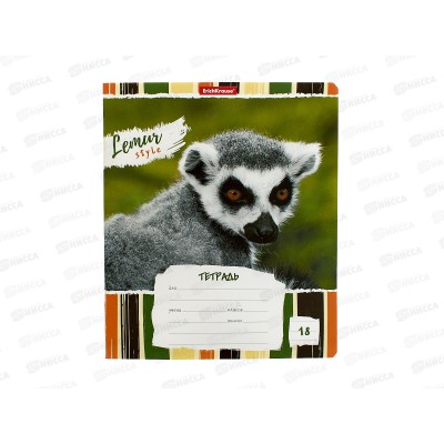 Тетрадь 18л лин. ПОЛИ Lemur Style 49190 *10/200