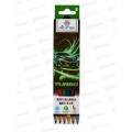 Карандаши  6цв Attomex. Turbo шестигр. к/у  5021542 *24/240