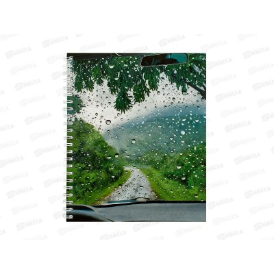 Тетрадь 96л кл. ЭКСМ Капли дождя, греб., ТС2Л969292 *4/40