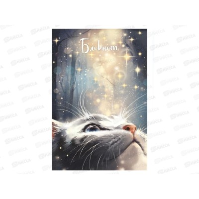 Блокнот 40л ФЕН А5 Кот со звездами кл.,скоба, офсет 69255 *5/40