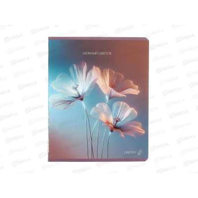 Тетрадь 48л клетка SVETOCH Капризный цветок, 01506  *10/60 Тетрадь 48л клетка SVETOCH Капризный цветок, 01506  *10/60