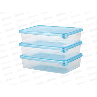 Контейнер 0,9л д/заморозки Sugar&Spice 3шт голубой SE102812044 Контейнер 0,9л д/заморозки Sugar&Spice 3шт голубой SE102812044