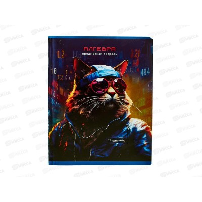 Тетрадь 48л кл. BG &quotМир будущего&quot Алгебра, 56328 *10/60