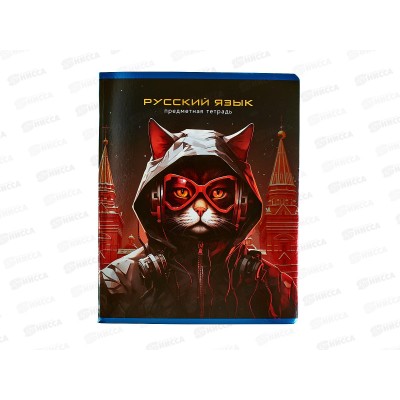 Тетрадь 48л лин. BG "Мир будущего" Русский язык, 56346 *10/60