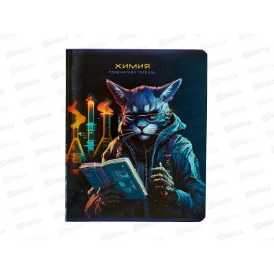 Тетрадь 48л кл. BG &quotМир будущего&quot Химия, 56330 *10/60