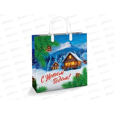 Сумочка пластик мягкий НГ 30*30 Домик в горах *40