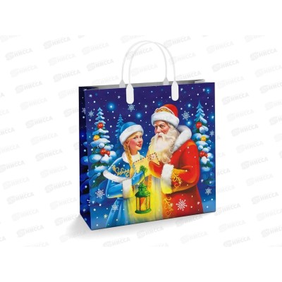 Сумочка пластик мягкий НГ 30*30 Заветное желание *40