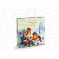 Сумочка пластик мягкий НГ 30*30 Пернатые друзья *40