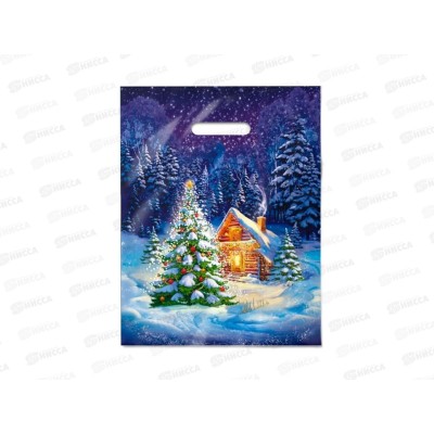 Пак. пробивной НГ 31*40 Ночное чудо *50/500