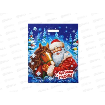 Пак. пробивной НГ 40*47  Любимец *50/500