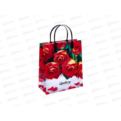 Сумочка пластик мягкий 23*27 Галерея *40