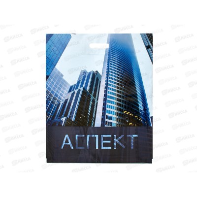 Пак. пробивной 50*60 Аспект 100мкм *50/250