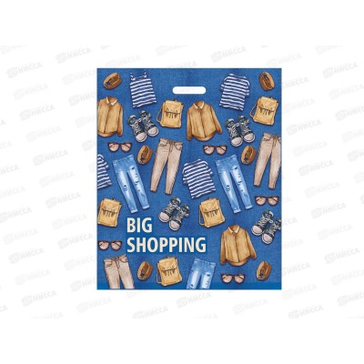 Пак. пробивной 50*60 Гардероб 100мкм *50/250