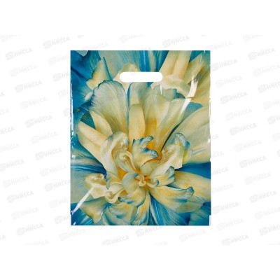 Пак. пробивной 30*37 Молли 90мкм *50/500