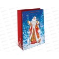 Пакет бумажный подарочный Новый год 26*32*12 0193.540