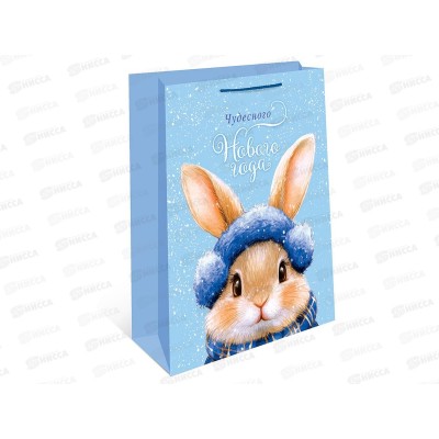 Пакет бум. подарочный НГ 26*32*12 0193.554