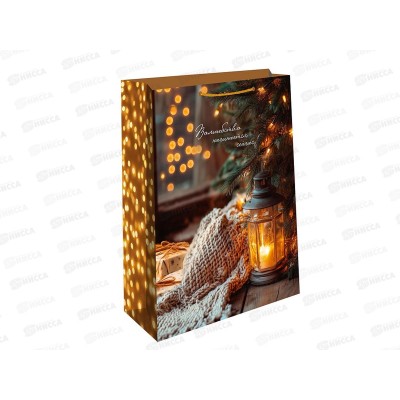 Пакет бум. подарочный НГ 26*32*12 0193.587