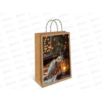 Пакет бум. подарочный НГ крафт 26*32*12 0396.617 *6