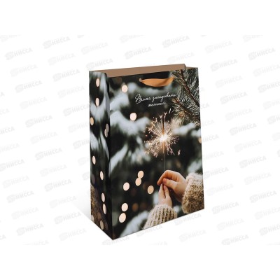 Пакет бум. подарочный стандарт плюс НГ 18*22,3*10 1312.916