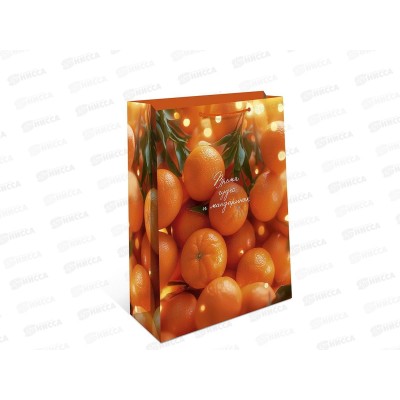 Пакет бум. подарочный стандарт плюс НГ 11,5*14,5*6,5 1314.917