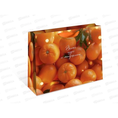 Пакет бум. подарочный стандарт плюс НГ 32*26*12 1322.917