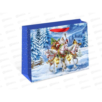 Пакет бум. подарочный стандарт плюс НГ 50*40*25 1327.913