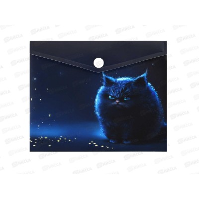 Папка д/документов ФЕН 17*14, Ночное облако, с кноп., 69033 *12