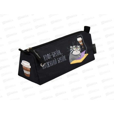 Пенал ФЕН Серый кот, 20*8,5*6,5см, молн., 68424 *36